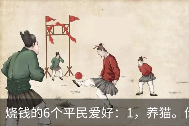烧钱的6个平民爱好：1，养猫。你以为养的是猫…
